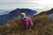 62 Stelina col cappottino sullo sfondo d'Alben